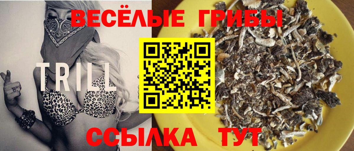 Галлюциногенные грибы мицелий Мирный