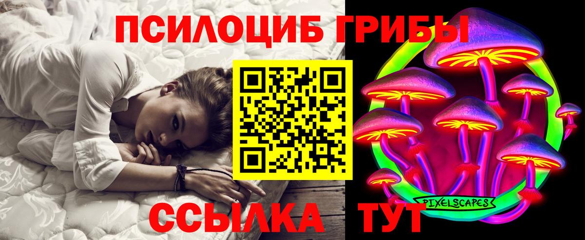 Мирный  Псилоцибиновые грибы мухоморы  Вход с VPN 